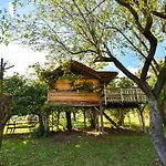 Domek letniskowy La Casa Sull'albero *