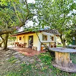 La Casa Sull'albero *