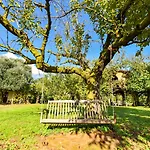 La Casa Sull'albero