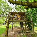 Domek letniskowy La Casa Sull'albero *