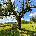 La Casa Sull'albero *