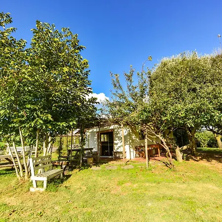 La Collina Dei Ciliegi * Pecetto