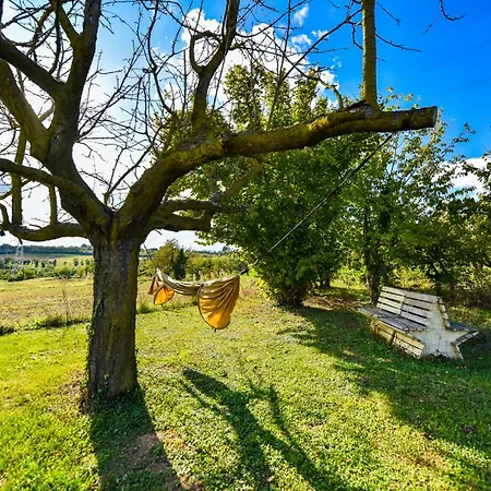 La Collina Dei Ciliegi Lodge Pecetto