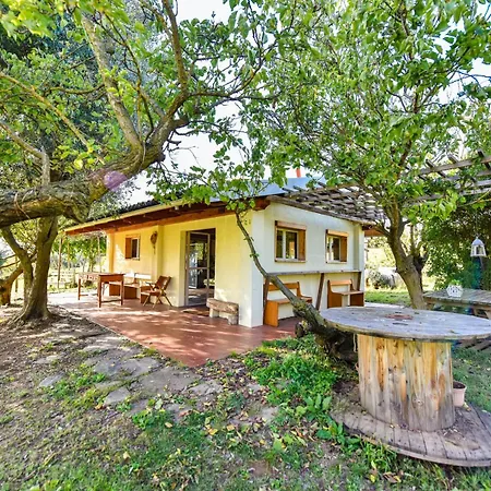 La Collina Dei Ciliegi *