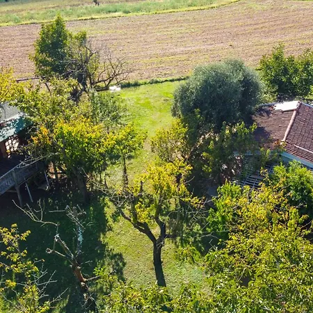 La Collina Dei Ciliegi