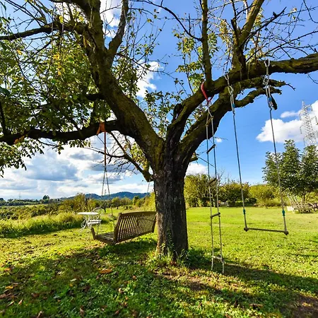 La Collina Dei Ciliegi * Pecetto