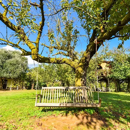 La Collina Dei Ciliegi