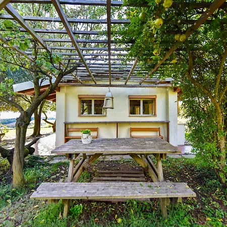 La Collina Dei Ciliegi *