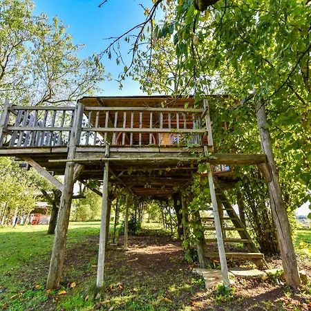 La Collina Dei Ciliegi *