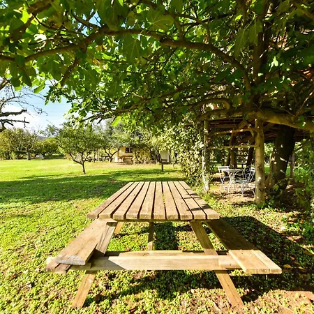 La Collina Dei Ciliegi Lodge Pecetto