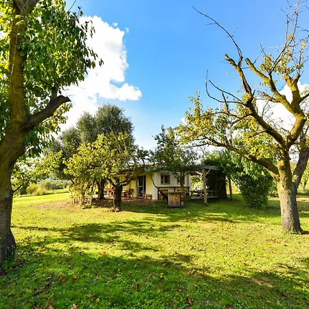 La Collina Dei Ciliegi Domek letniskowy