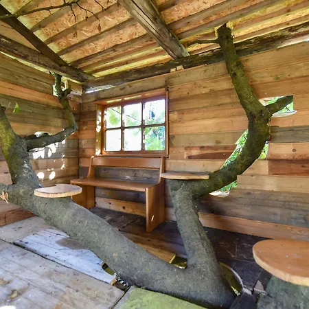 La Collina Dei Ciliegi