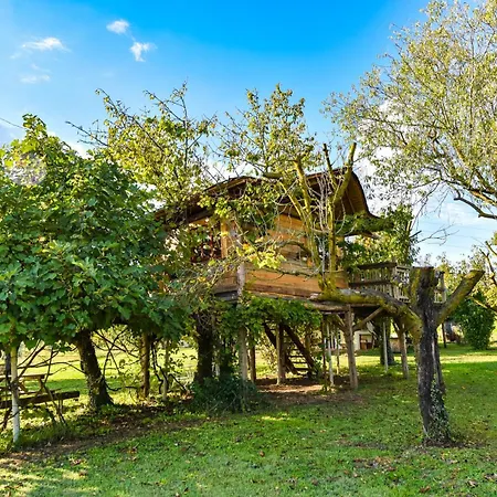 La Collina Dei Ciliegi Lodge *