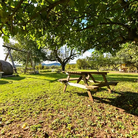 Lodge La Collina Dei Ciliegi Pecetto