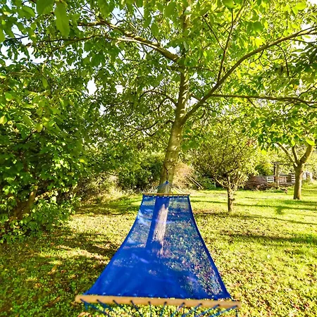 La Collina Dei Ciliegi Lodge