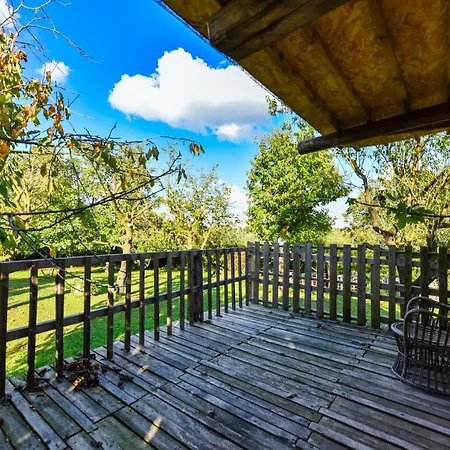 La Collina Dei Ciliegi * Pecetto