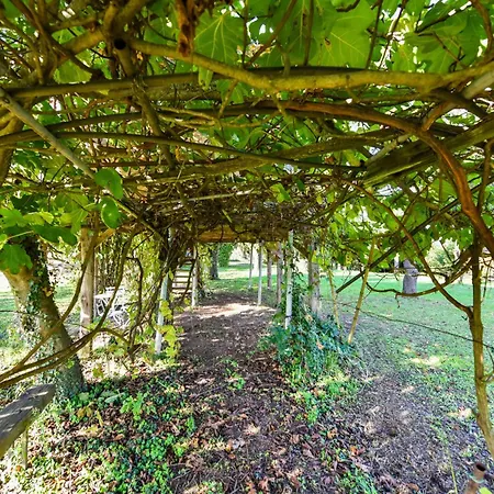 Lodge La Collina Dei Ciliegi Pecetto