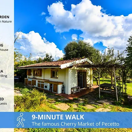 La Casa Sull'albero Domek letniskowy *