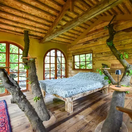 La Casa Sull'albero *