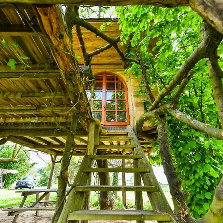 La Casa Sull'albero Pecetto