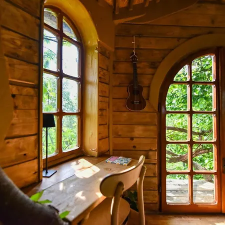 La Collina Dei Ciliegi *