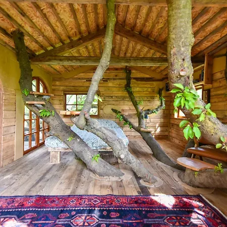 La Casa Sull'albero Pecetto