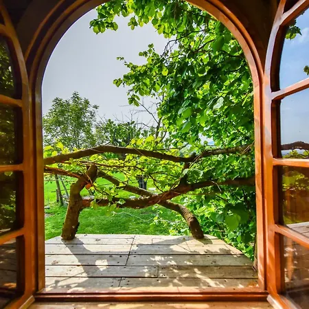 La Collina Dei Ciliegi Lodge *
