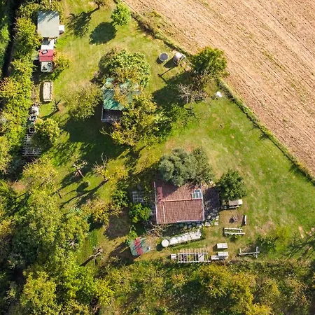 Domek letniskowy La Casa Sull'albero