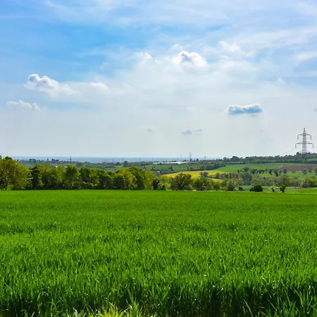 La Collina Dei Ciliegi * Pecetto