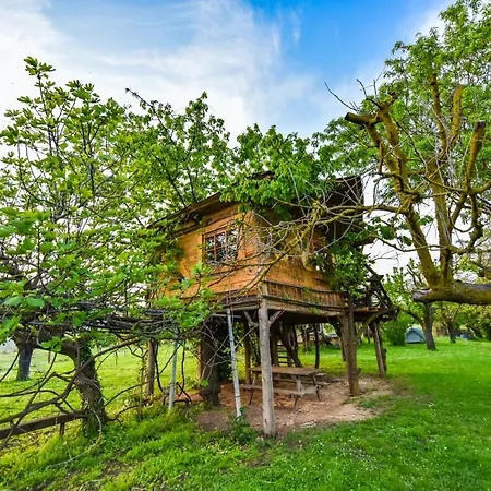 La Collina Dei Ciliegi Lodge