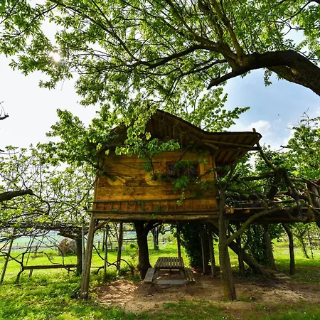 La Casa Sull'albero Pecetto