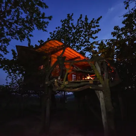 La Casa Sull'albero Pecetto