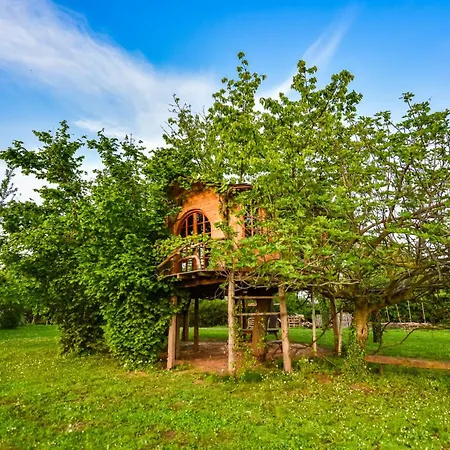 La Collina Dei Ciliegi Lodge