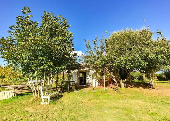 La Collina Dei Ciliegi * Pecetto