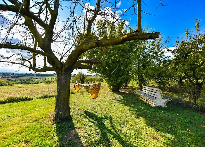 La Collina Dei Ciliegi Lodge Pecetto