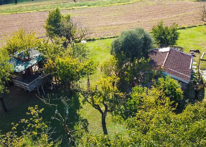 La Collina Dei Ciliegi
