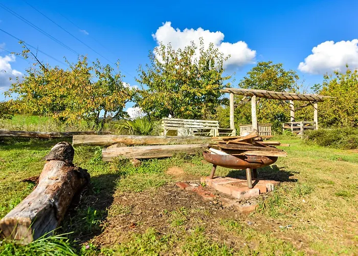 La Collina Dei Ciliegi Lodge *