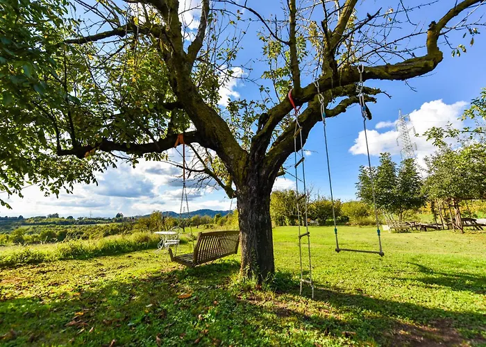 La Collina Dei Ciliegi * Pecetto