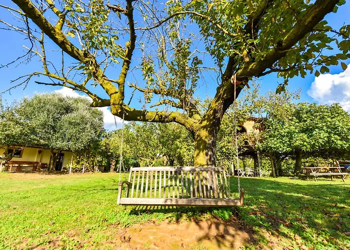 La Collina Dei Ciliegi