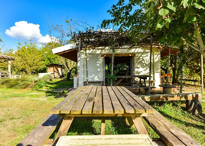 Lodge La Collina Dei Ciliegi Pecetto