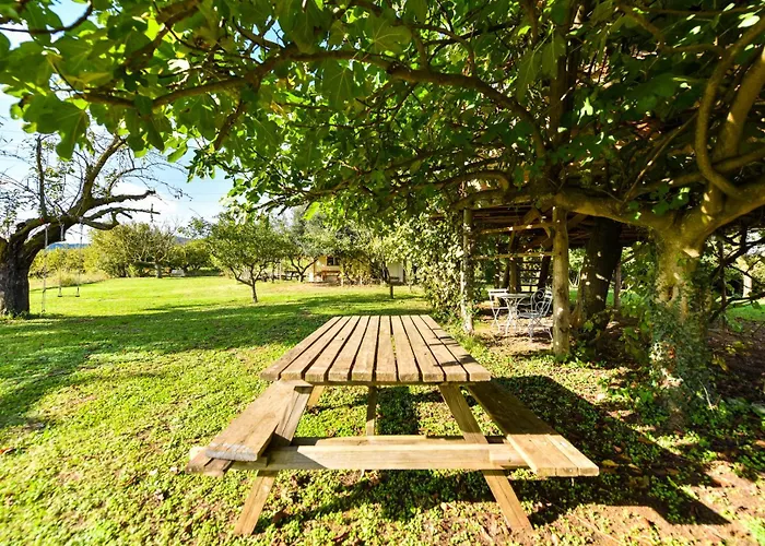 La Collina Dei Ciliegi Lodge Pecetto
