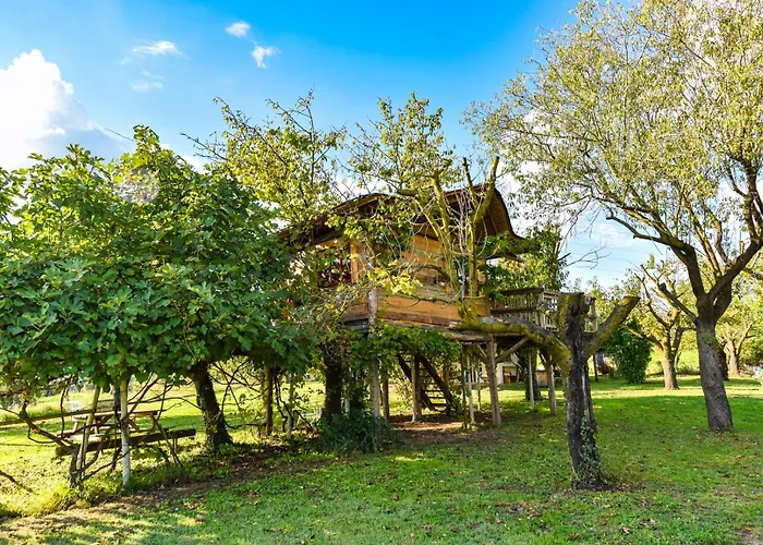 La Collina Dei Ciliegi Lodge *