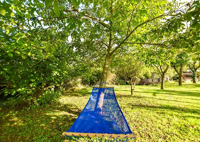 La Collina Dei Ciliegi Lodge