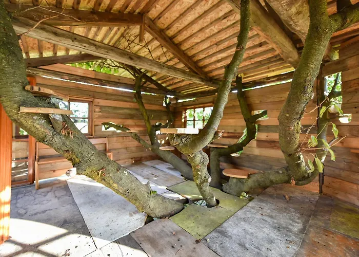 La Collina Dei Ciliegi Lodge Pecetto