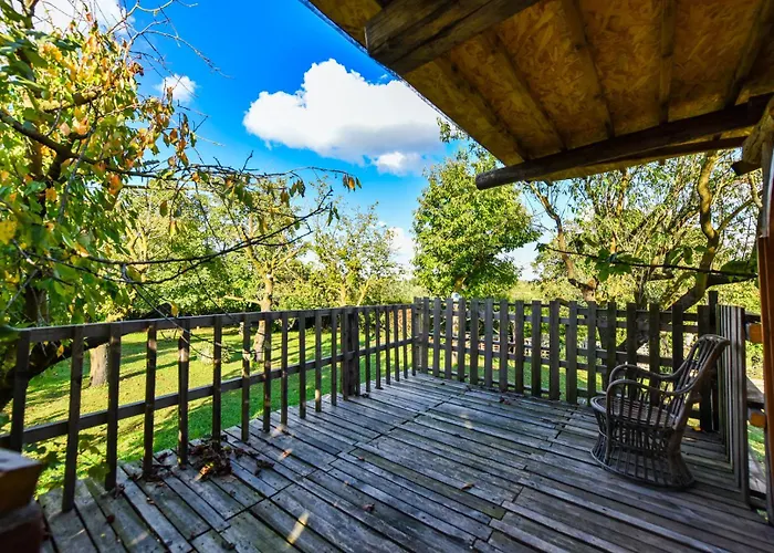 La Collina Dei Ciliegi * Pecetto